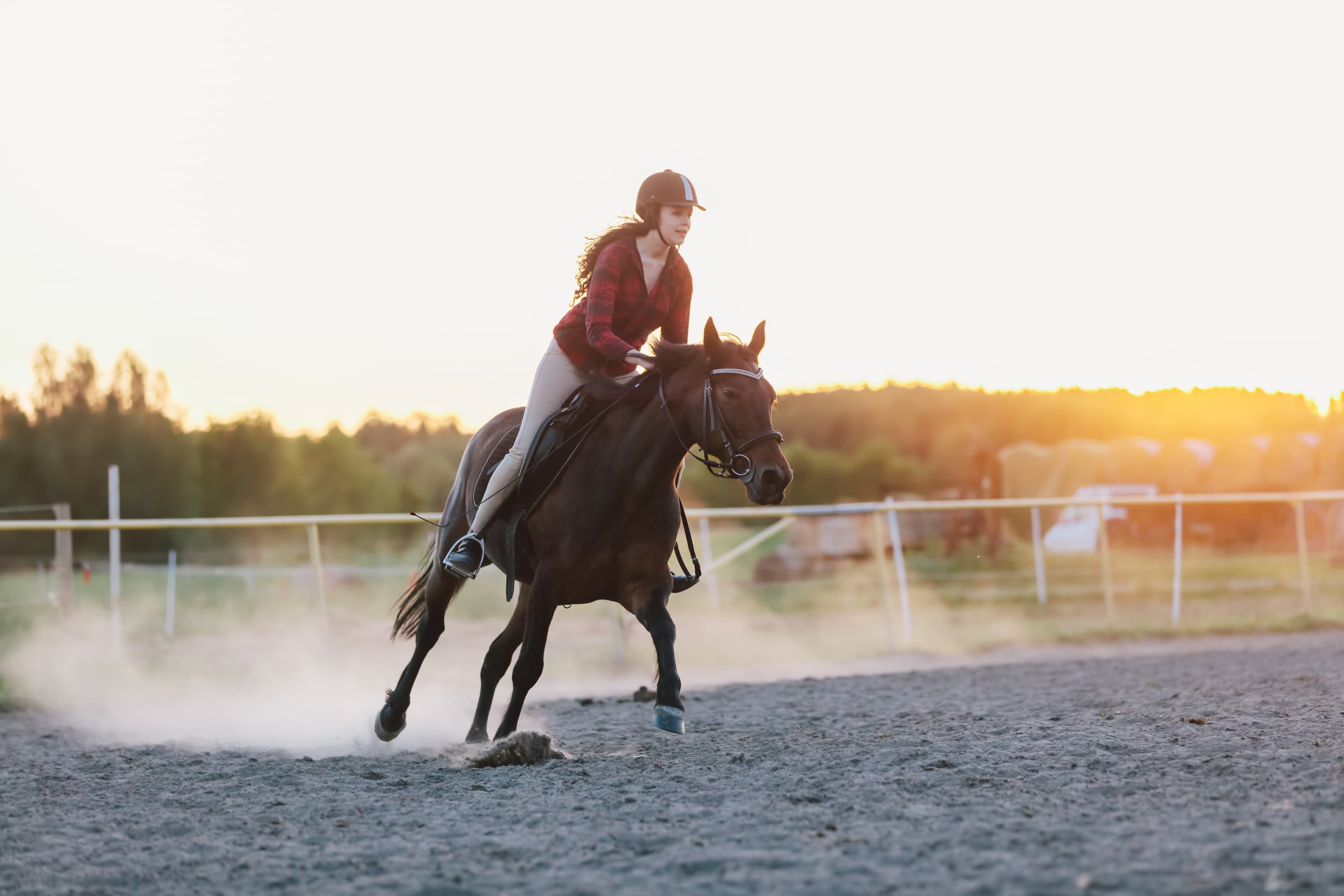 Cover Image for Trainingstipps für Anfänger: Der Einstieg ins Reiten